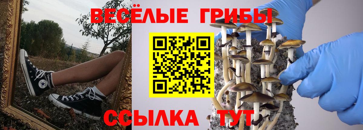 Галлюциногенные грибы GOLDEN TEACHER  Вход с VPN  что такое наркотик  Михайловск 